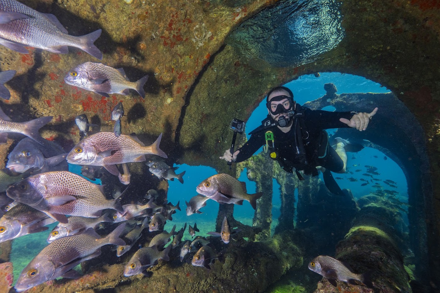 Mergulhador credenciado em ponto de mergulho de Fernando de Noronha