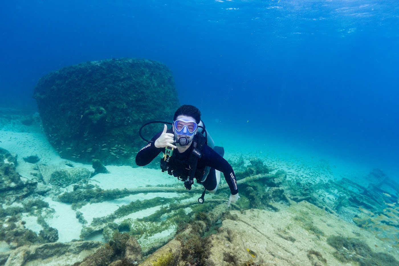 Immersioni a Fernando de Noronha: la guida completa
