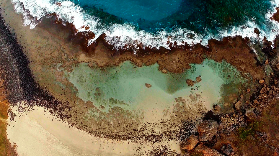 Migliori tour a Fernando de Noronha: quali fare