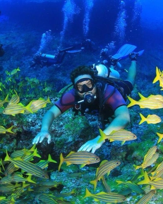 Mergulhador credenciado entre cardume de peixes, Fernando de Noronha