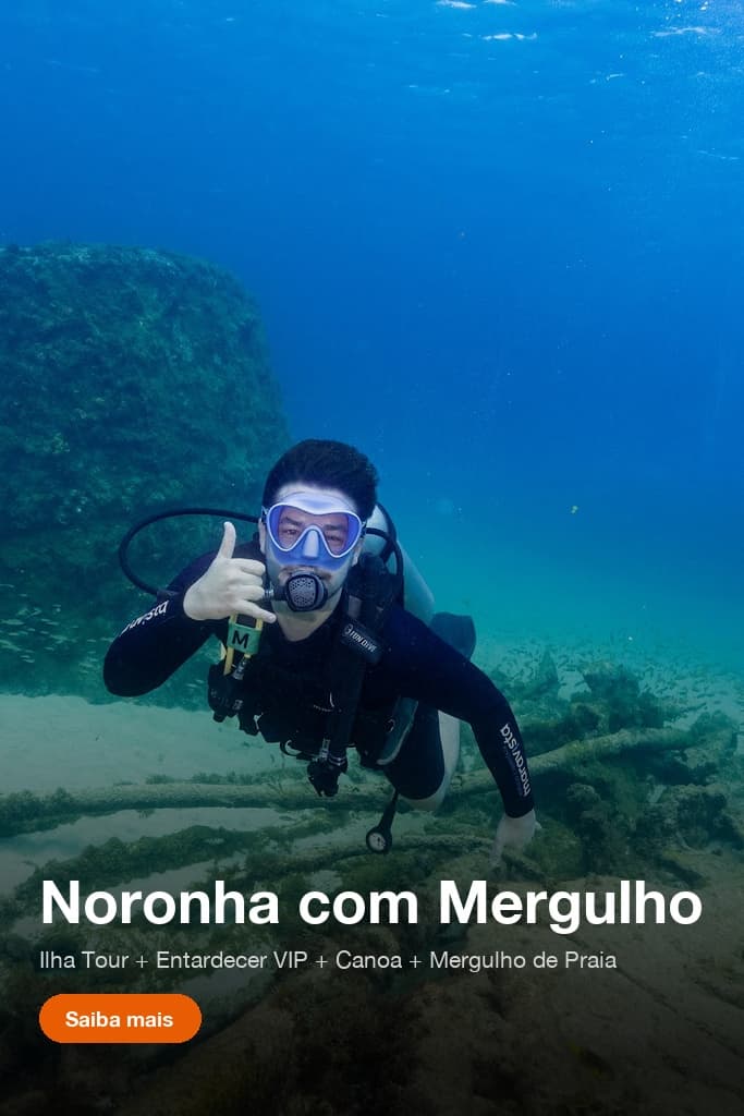 Combo Ilha Tour, Entardecer VIP, Canoa Havaiana e Mergulho Batismo de Praia em Fernando de Noronha