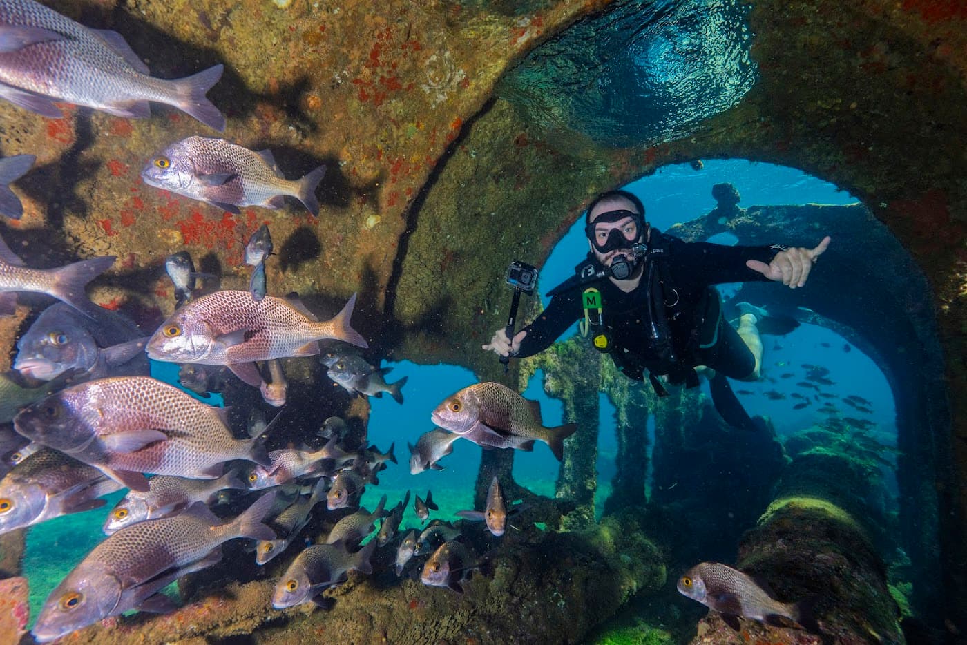 Mergulhador credenciado em ponto de mergulho de Fernando de Noronha