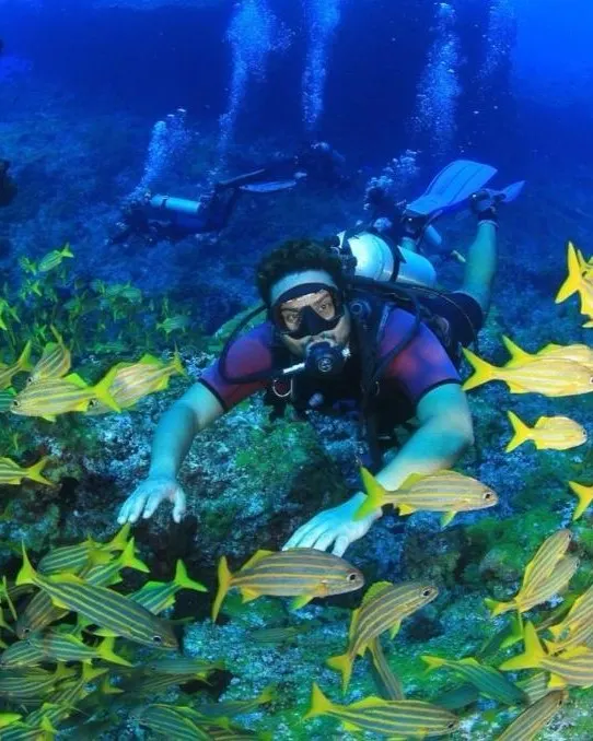 Mergulhador credenciado entre cardume de peixes, Fernando de Noronha