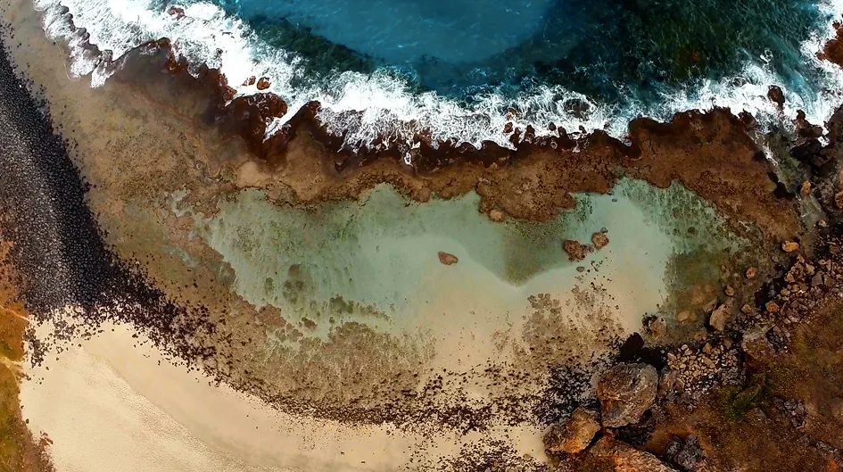 Best tours in Fernando de Noronha: which ones to do