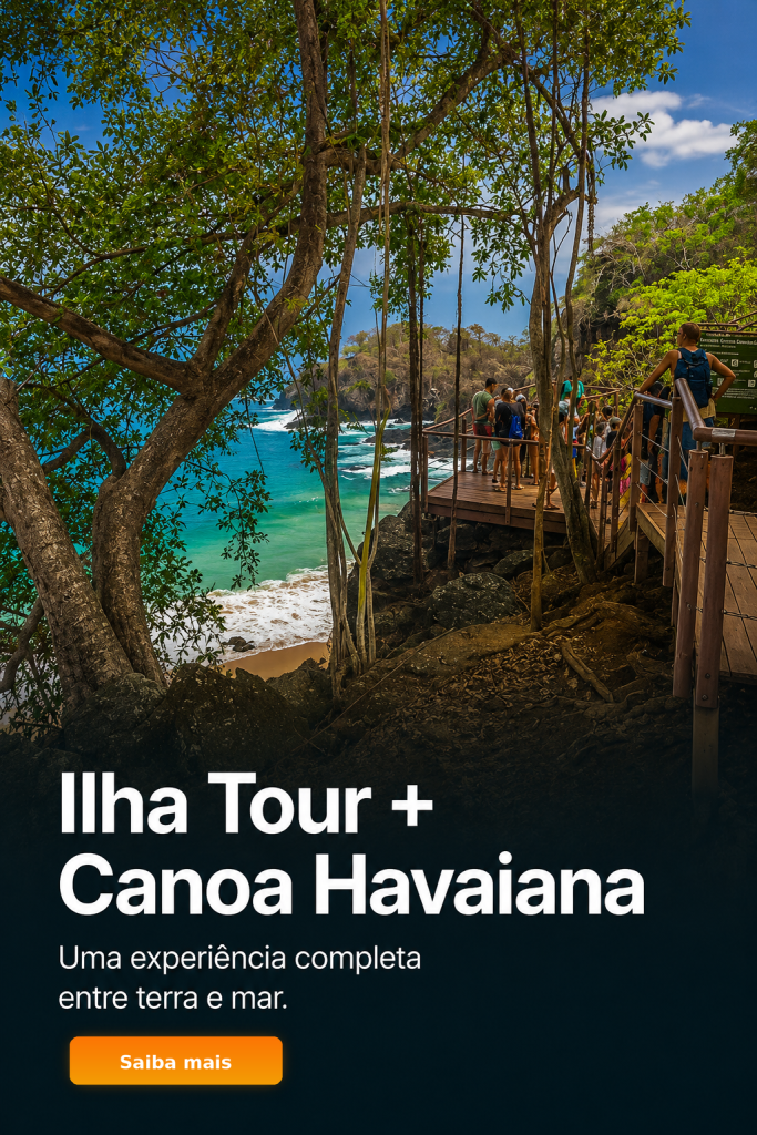 Passeio combinado de Ilha Tour e canoa havaiana em Fernando de Noronha