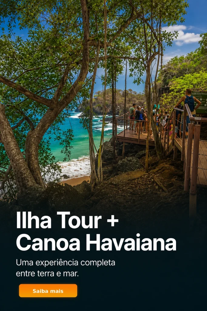 Passeio combinado de Ilha Tour e canoa havaiana em Fernando de Noronha